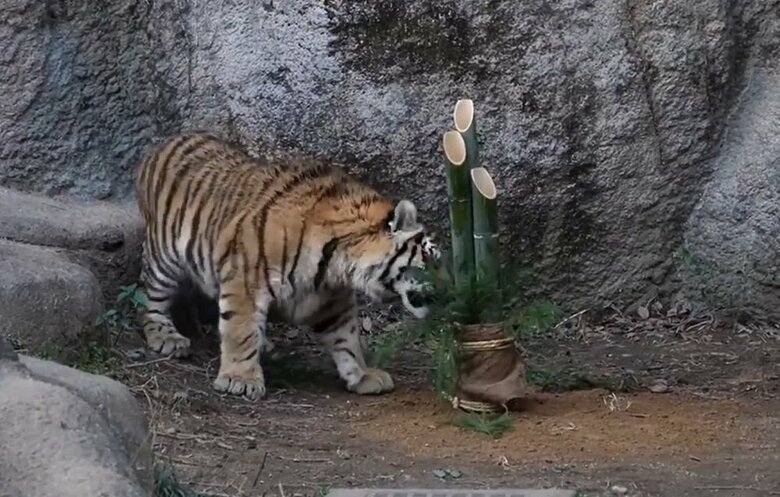 匂いをクンクン