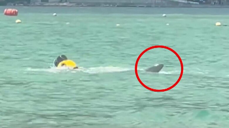 画像：ビデオポスト