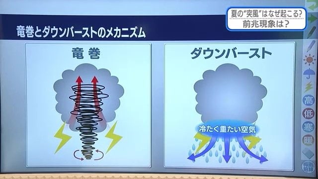 突風は雷雲の下で発生