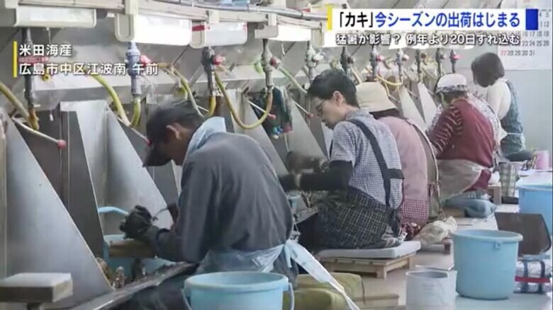 広島市中区江波南にある米田海産のカキ打ち場