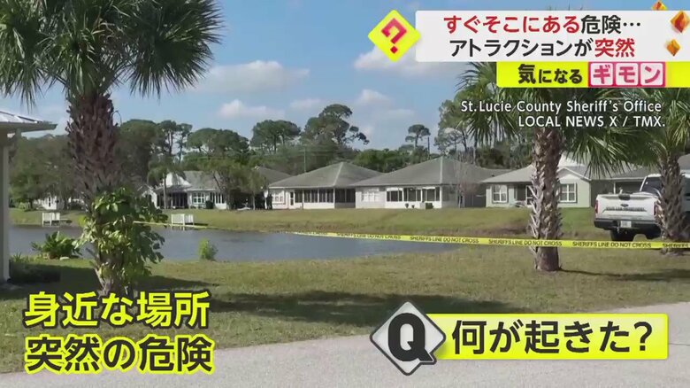 住宅地にある池。一見穏やかな場所だが…