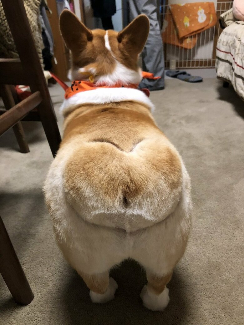 キュートなお尻にはハートが