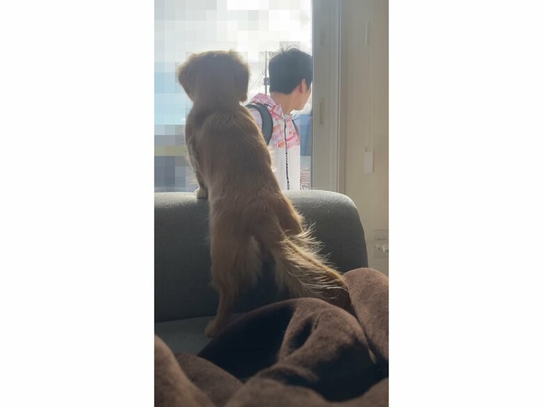 提供：___0516.wanさん