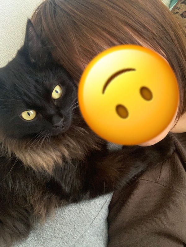 提供：イナタマグラムさん