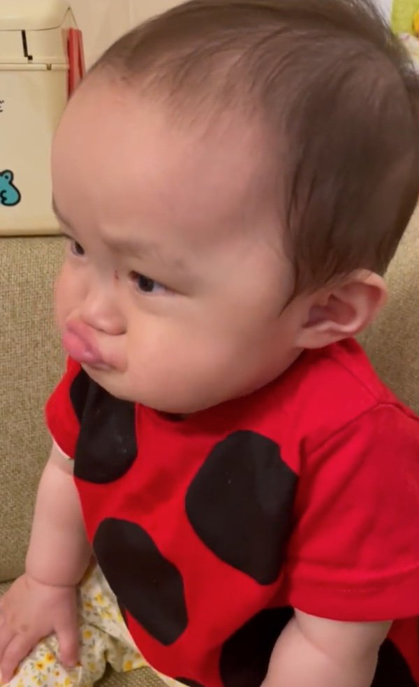 提供：ののさん