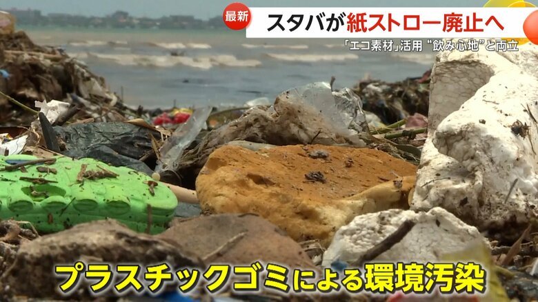 海岸に堆積する大量のプラスチックゴミ