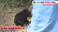 行楽にも注意　福島・会津美里町でクマ出没　子熊が民家の蔵に入り込み捕獲　冬眠明け…朝夕のお出かけ注意