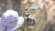 熊本市動植物園で3日間の無料開園「地震で被災した児童に安心して過ごせる場所を」　熊本県内で3652人避難
