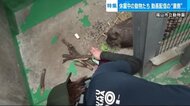 「いつまでも見ていられる」休園の動物園がSNSで発信　バズった動画の裏側に密着【広島発】