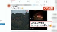 岩手の山林火災でSNS“陰謀論”投稿の真偽を検証　元動画はアメリカの山火事対策「バック・ファイア」か