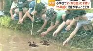 約２５年続くアイガモ農法の米作り授業　児童たちが学ぶことは【熊本】