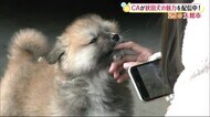 CAが地域の魅力発信! 25@大館市 秋田
