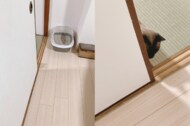 「もうちょっと練習しないとね」影でバレバレ…驚かすのが好きだけど“隠れ下手”な猫がかわいい