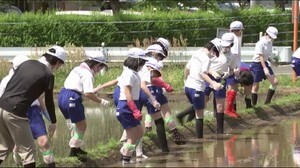 学校や商業施設に人の動き…小学校で屋外体験授業 まちの駅の「日本一のおにぎり」も販売再開<福島県>