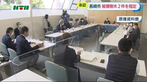 カキとカシの木を新たに被爆樹木に指定へ「原爆を物語る生き証人」【長崎市】