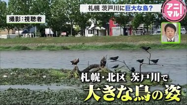 市街地の川で