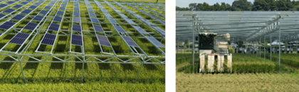 営農型太陽光発電(ソーラーシェアリング)で何をどう栽培すべきか？―複数の作物、品種、栽培方法を初めて検証―