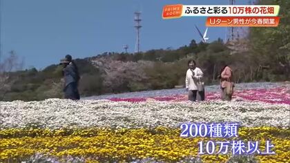 【高知】「天国に来たみたい」大月町に咲き誇る絶景、200種10万株の花咲農園オープン