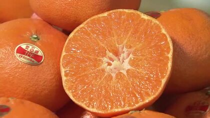 愛媛県オリジナル「甘平」強い甘み　愛媛産かんきつ類ＰＲイベント　今年度は豊作〈仙台市〉