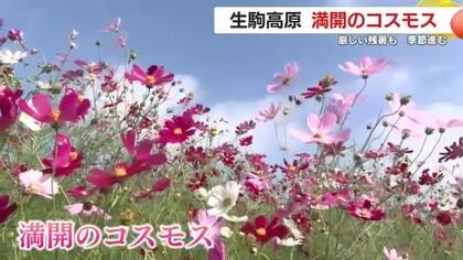 【映像】霧島連山、鹿屋市の秋の風景　厳しい残暑も　季節進む
