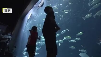 宇多津町の四国水族館　４月１日から入館料金値上げへ　新たに近隣３市町住民向け年間パスも販売へ【香川】