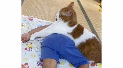 「え、なんで？」“毛布”のように昼寝中の男の子に乗る猫が満足気…いつものこと？母親に関係性を聞いた
