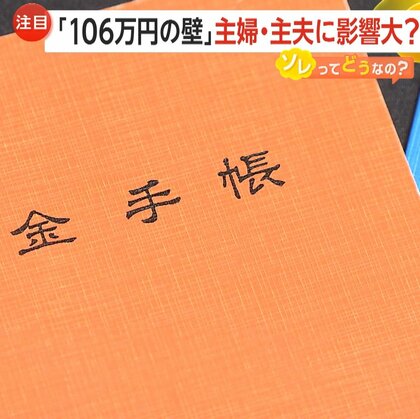 「106万円の壁」ついに見直し案提示　「主婦・主夫」の手取り減少に懸念…社会保険料負担増も　企業の負担割合増やす案も提示