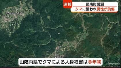 【速報】植林作業中の男性がクマに襲われ負傷 足や腕にけがも命に別状なし　今年初の人身被害（島根）