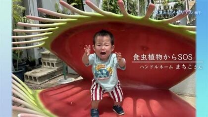 グランプリは「食虫植物からＳOＳ」　準ＧＰ「静けさ」　1000枚超える応募作品から【ずきゅん写真展】