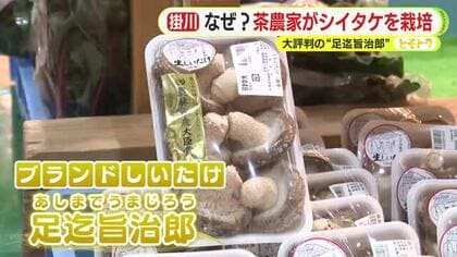 茶農家がなぜシイタケを？　「お茶だけでは生活ができない」　大評判の“足迄旨治郎”の裏に茶業低迷　同じ危機感を抱いた仲間と大いなる挑戦