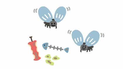全てのコバエに捕獲器が効くわけではない！もうコバエを見たくないなら「種類」を見極めて。発生源から徹底駆除する方法