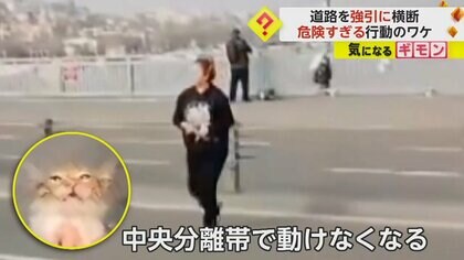 【子ネコ救出】車の前に立ちはだかった女性　両手を振り道路横断…小さな命を救う　トルコ