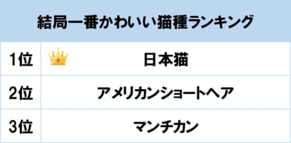 1位は 日本猫 Gooランキングが 結局一番かわいい猫種ランキング を