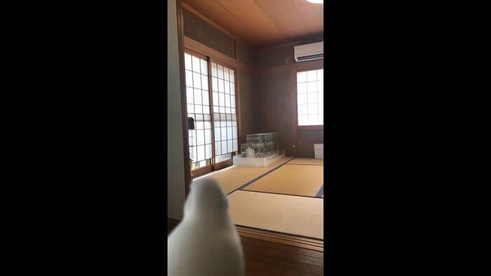 飛び立つ前の様子