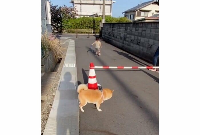 提供:yasumi.219さん