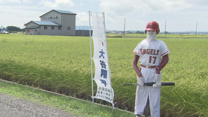 大谷翔平選手?