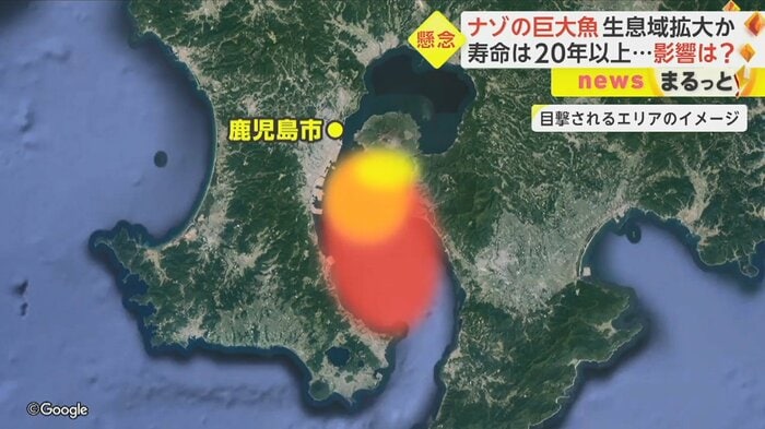 目撃されるエリアは年々、南側に広がっているという