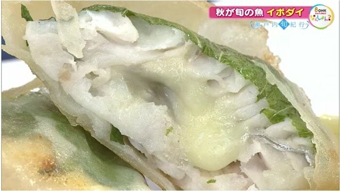 イボダイのチーズ春巻き