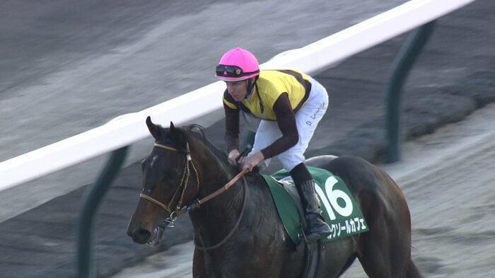 武蔵野Sを制したルクソールカフェ