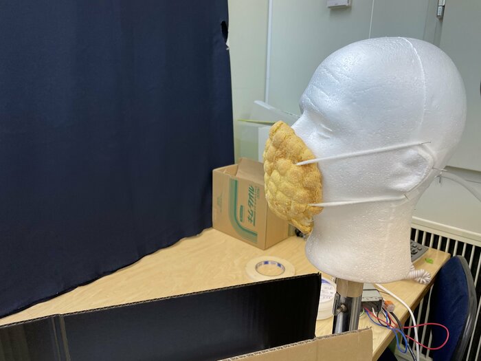 実験中の様子