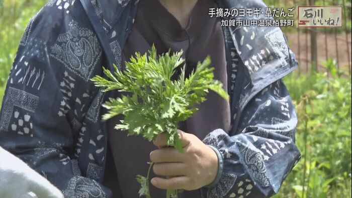 草だんご1個に使うヨモギの量