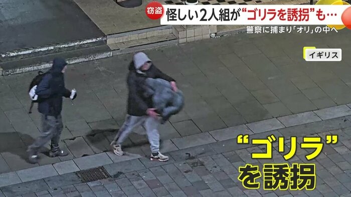ゴリラを抱えて大通りを横切る2人組(Durham Constabulary)
