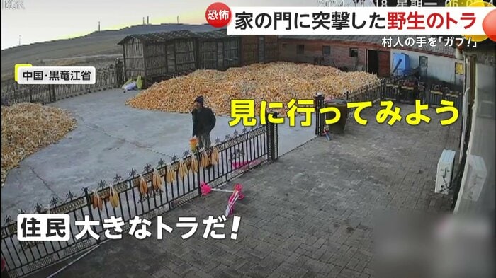 恐れ知らずか、「見に行こう」と言い出す男性(中国SNSより)