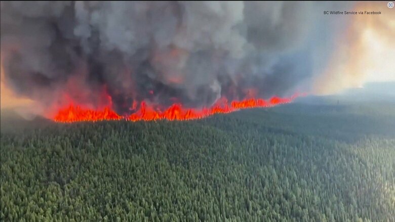 山火事被害20年で倍に　原因は地球温暖化｜FNNプライムオンライン