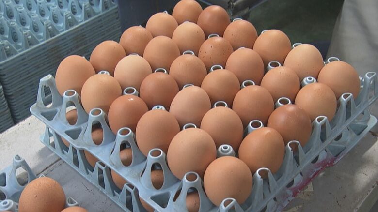 「もう物価の優等生ではない」 エサ代高騰等で“卵”の価格が急上昇…1年前の倍以上に【愛知発】｜FNNプライムオンライン