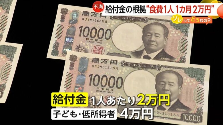 【解説】 “食費1人1カ月2万円”が給付金の根拠に「安すぎる！」疑問続出…専門家「本当の根拠は税収上振れ額」｜FNNプライムオンライン