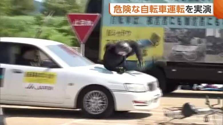 自転車に潜む危険！中学生の前でスタントマンが事故再現「すごく怖い」「ヘルメットあり・なしで全然違う」新潟｜FNNプライムオンライン