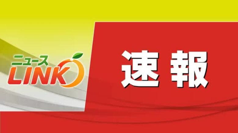 愛媛ＭＰ 西野日向選手がヤクルト育成１位指名　プロ野球ドラフト会議　松山聖陵高校出身【愛媛】｜FNNプライムオンライン
