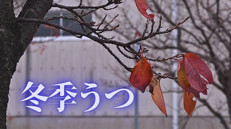 その過眠や過食…実は「冬季うつ」かも　日照時間が短くなりセロトニン分泌が減少　｜FNNプライムオンライン