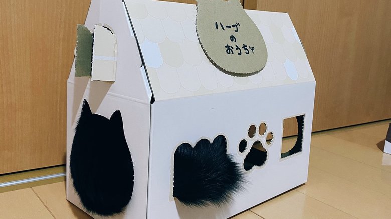 窓からは黒い毛が…